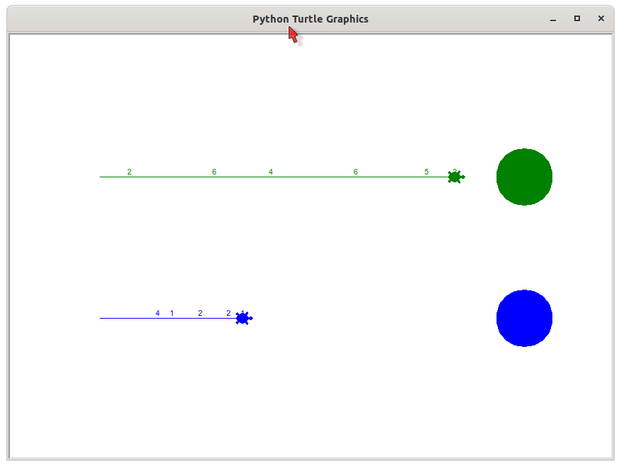 Turtle Wins The Race!