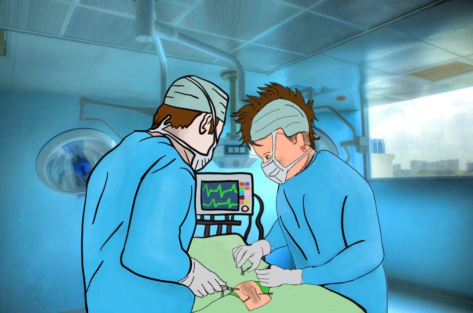 Life sciences are the study of living organisms