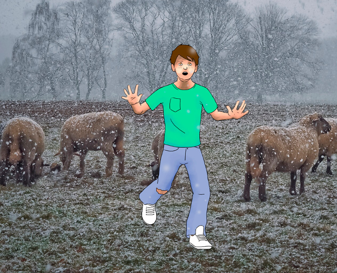 The boy who cried wolf