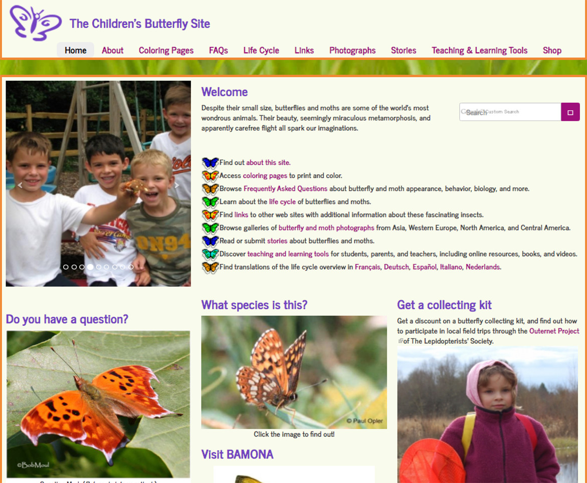 TheButterflySite.com