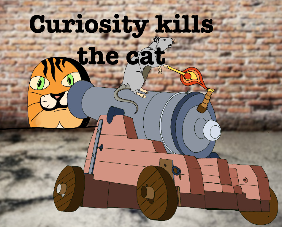 Curiosity kills the cat