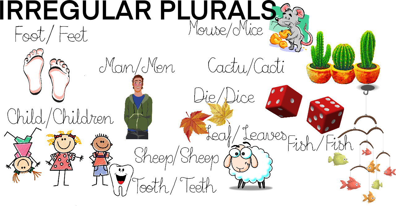 Don’t be a sheep in a world full of wolves. There are three types of people in this world: sheep, wolves, and sheepdogs.