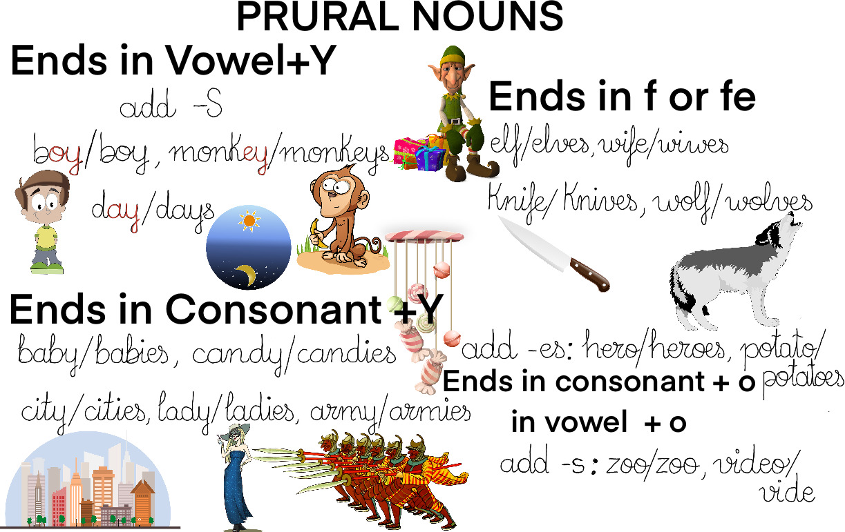 Monkeys are omnivores.