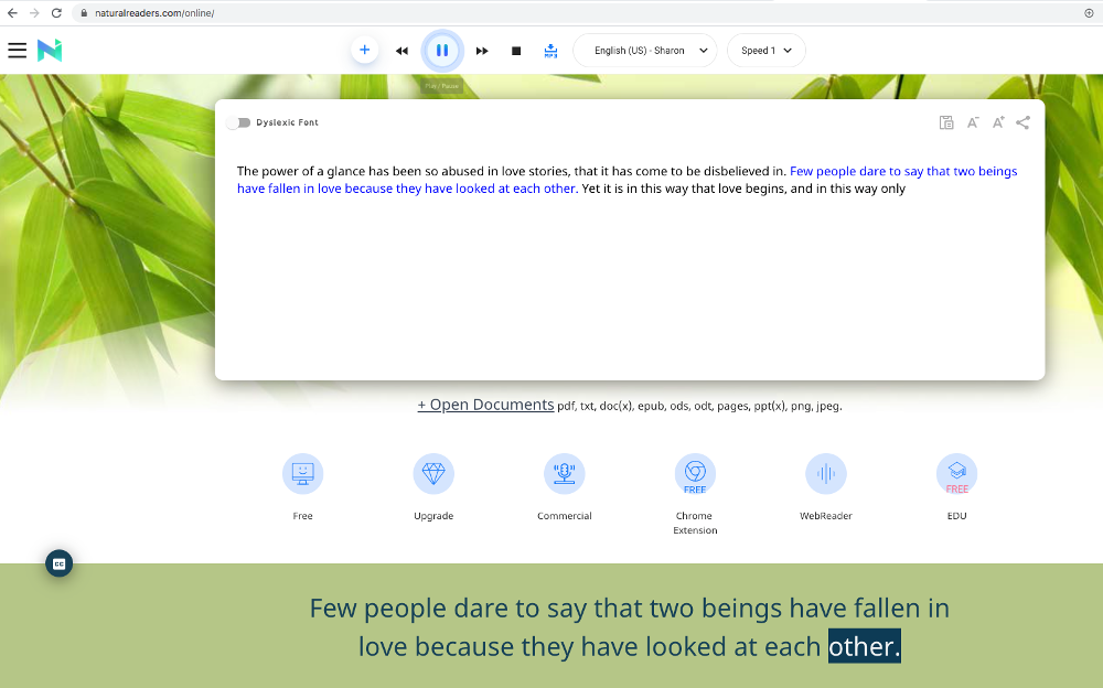 Text to Speech services are becoming more widely used