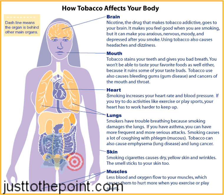 Smoking is hateful to the nose, harmful to the brain, and dangerous to the lungs, King James