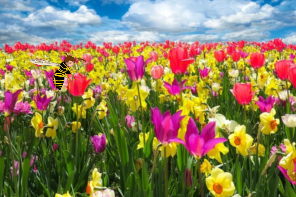 No se puede separar la parte del todo: la interdependencia gobierna el orden cósmico, Taisen Deshimaru