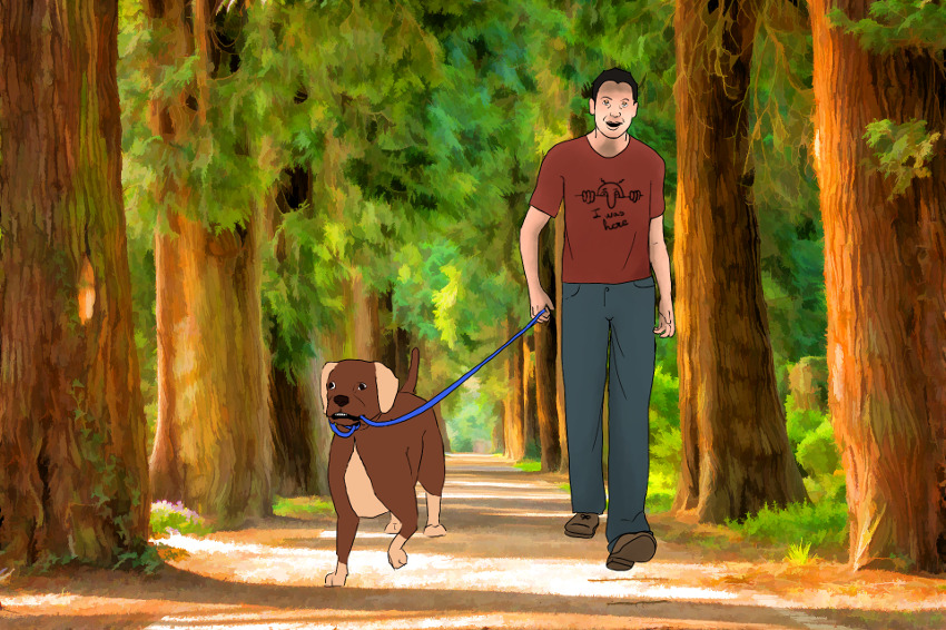 Un paseo matutino es una bendición para todo el día, Henry David Thoreau.