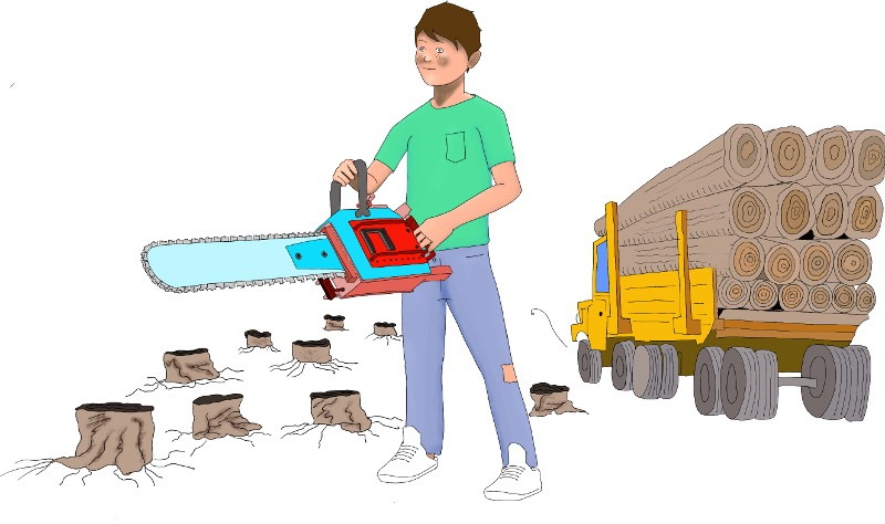 Deforestation will continue as long as cutting down and burning trees is more economic than preserving them, Johan Eliasch