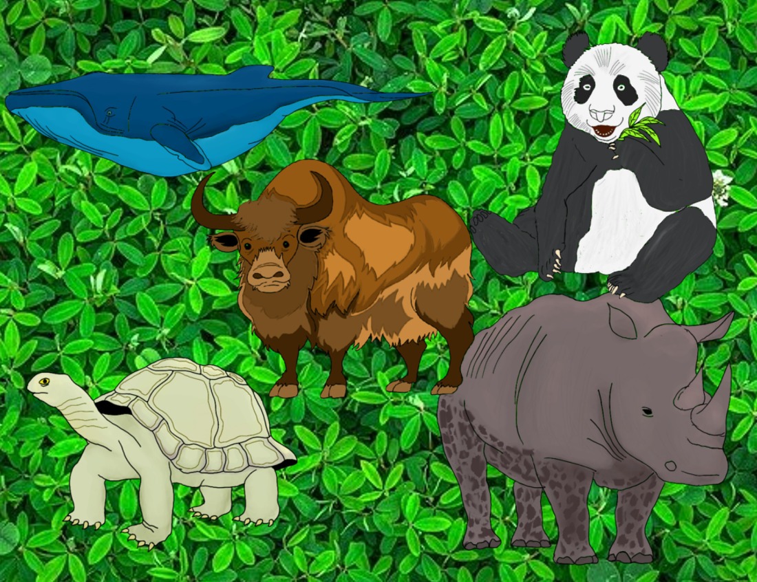 “We take habitat away from wild animals and then kill them for invading ‘our’ space, Patrick Edwards