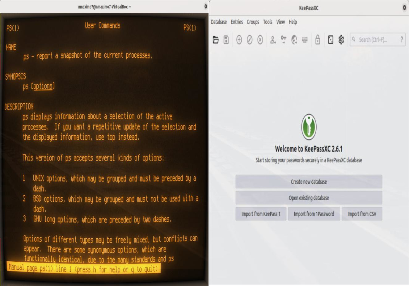 Cool-retro-term and KeePassXC