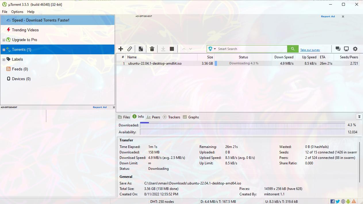 How to download torrents